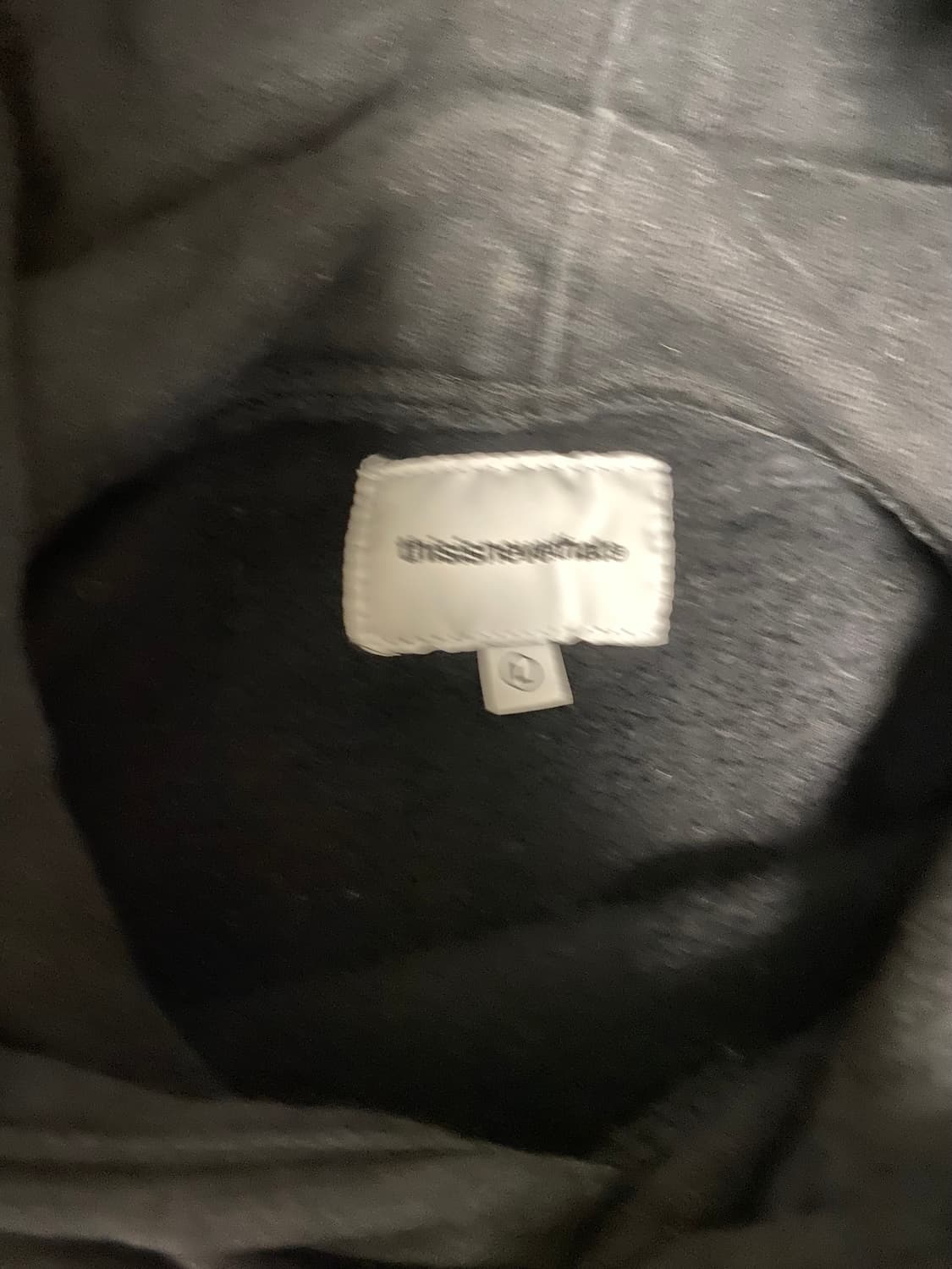 디스이즈네버댓 빅로고 후드(size L) 상품이미지4