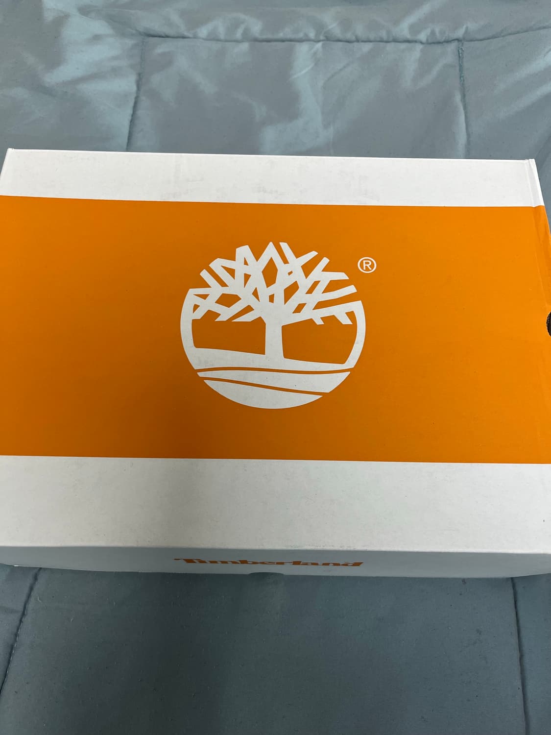 디스이즈네버댓x팀버랜드 6인치 부츠—250사이즈 상품이미지5