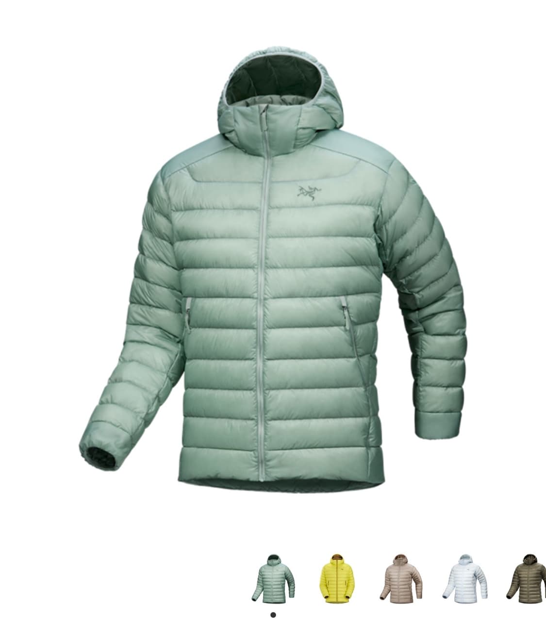 새상품)아크테릭스 세륨 스톤그린 M / 당일배송 상품이미지1