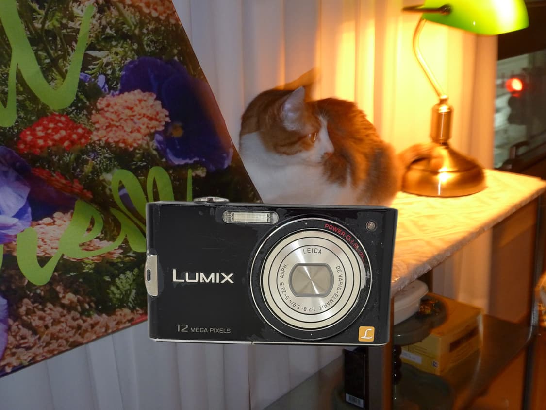 희귀매물 루믹스 DMC-FX65 작례O 상품이미지1