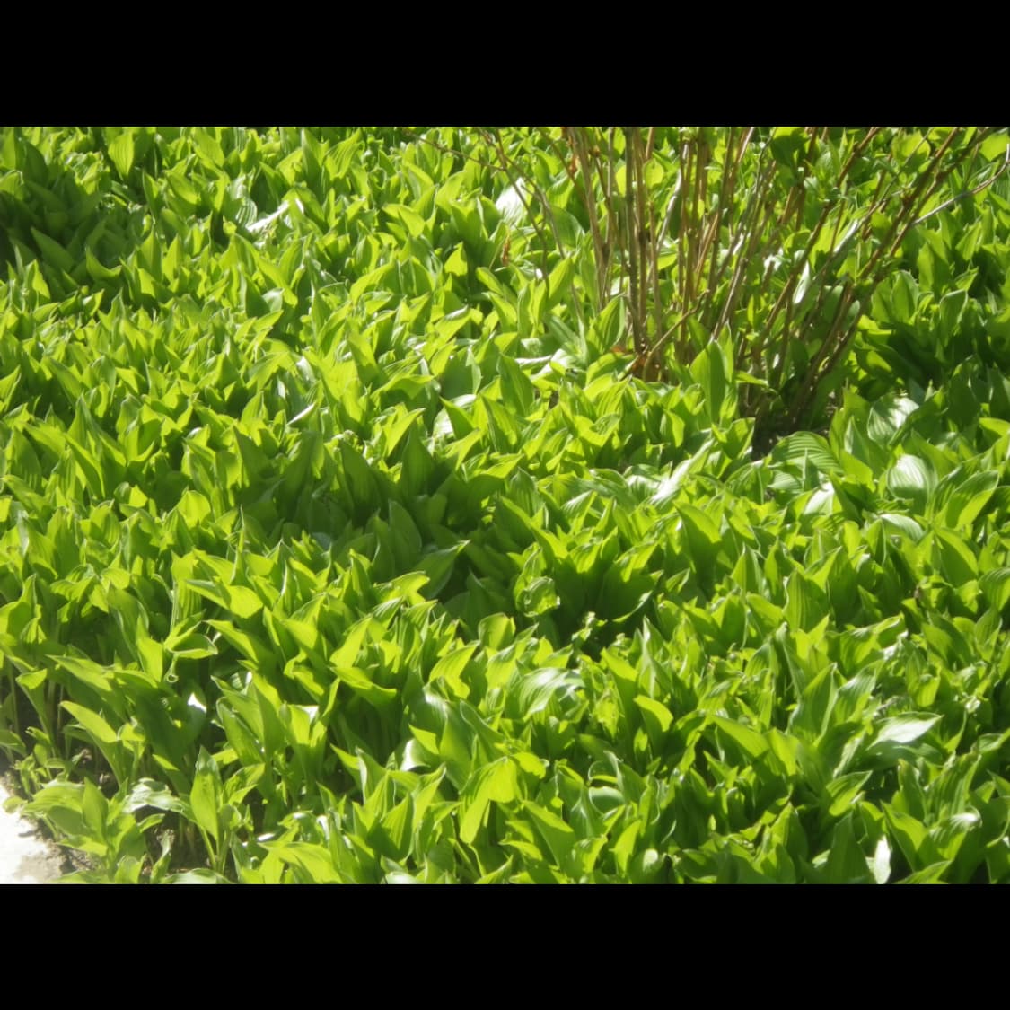 작례⭕️ 펜탁스 WG-10  상품이미지4