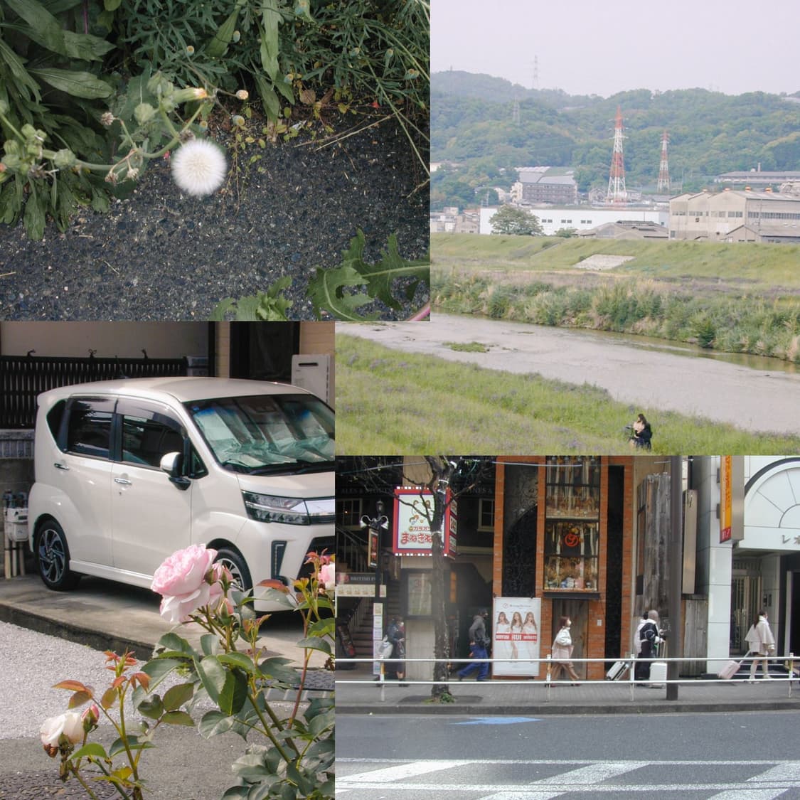 유니크한 니콘 쿨픽스 950(작례 0) 상품이미지2