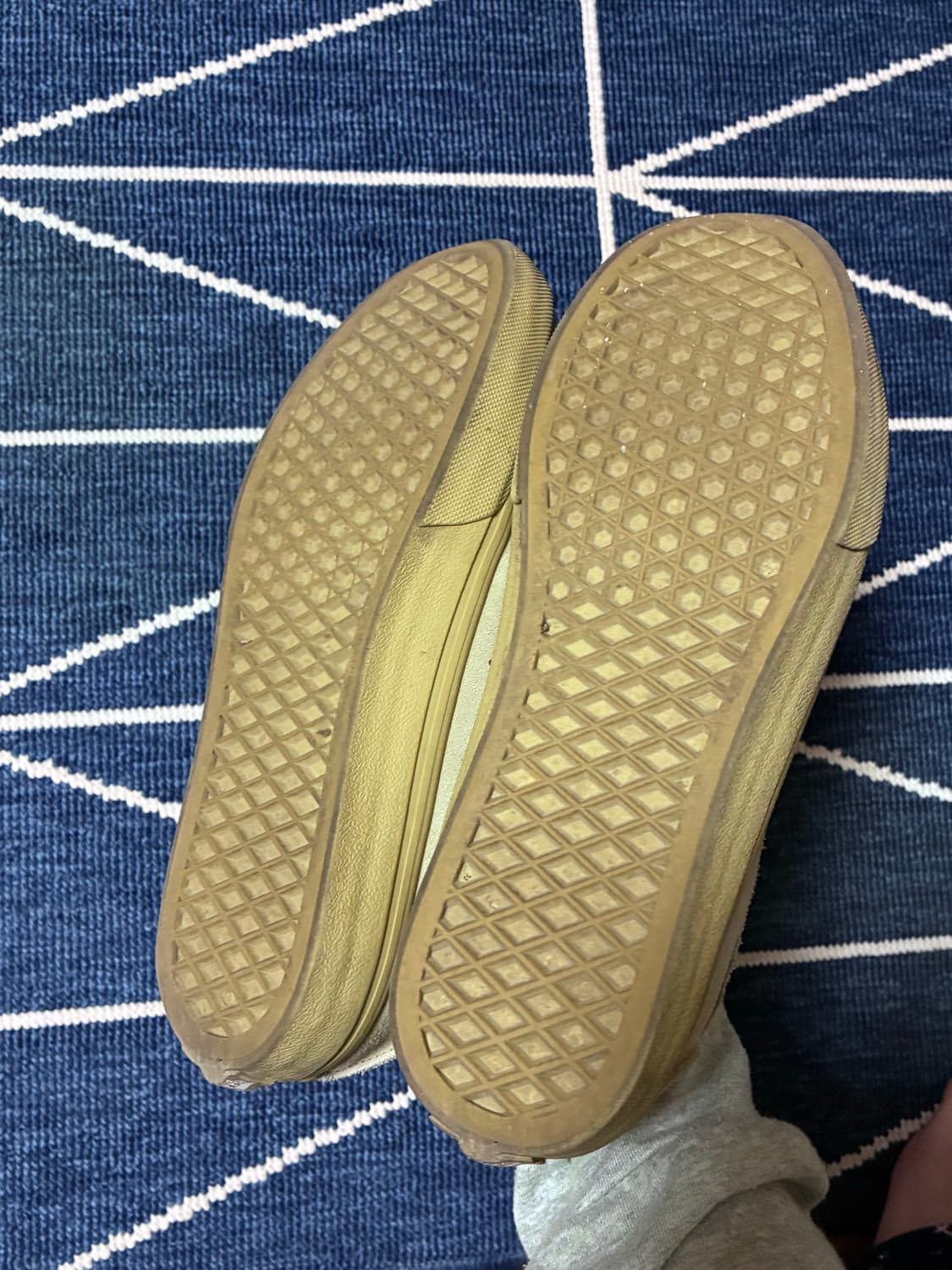 반스 카버 로우 260 상품이미지4