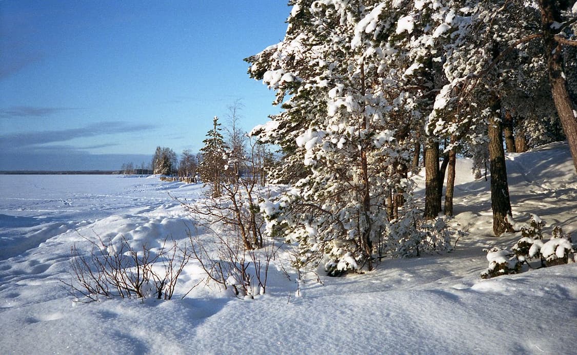 작례O 앤디워홀 카메라 코니카 c35 ef 명작 필름카메라 상품이미지4