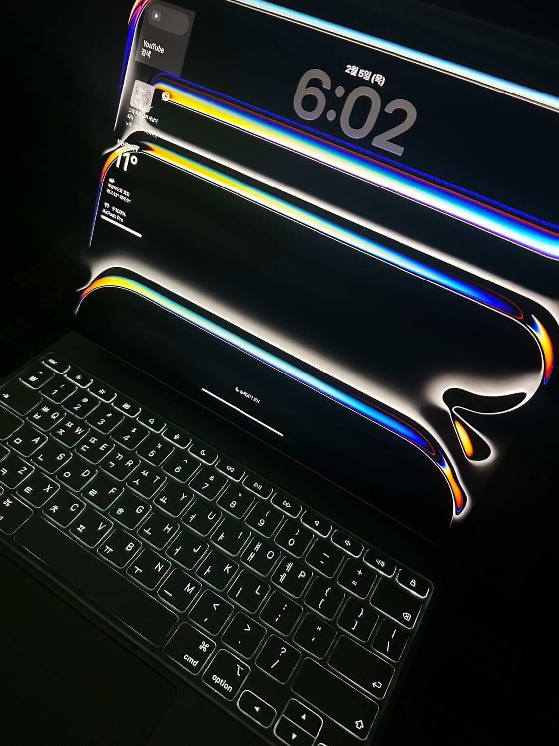 아이패드 프로 13인치 M4 1TB 셀룰러 풀세트 상품이미지2