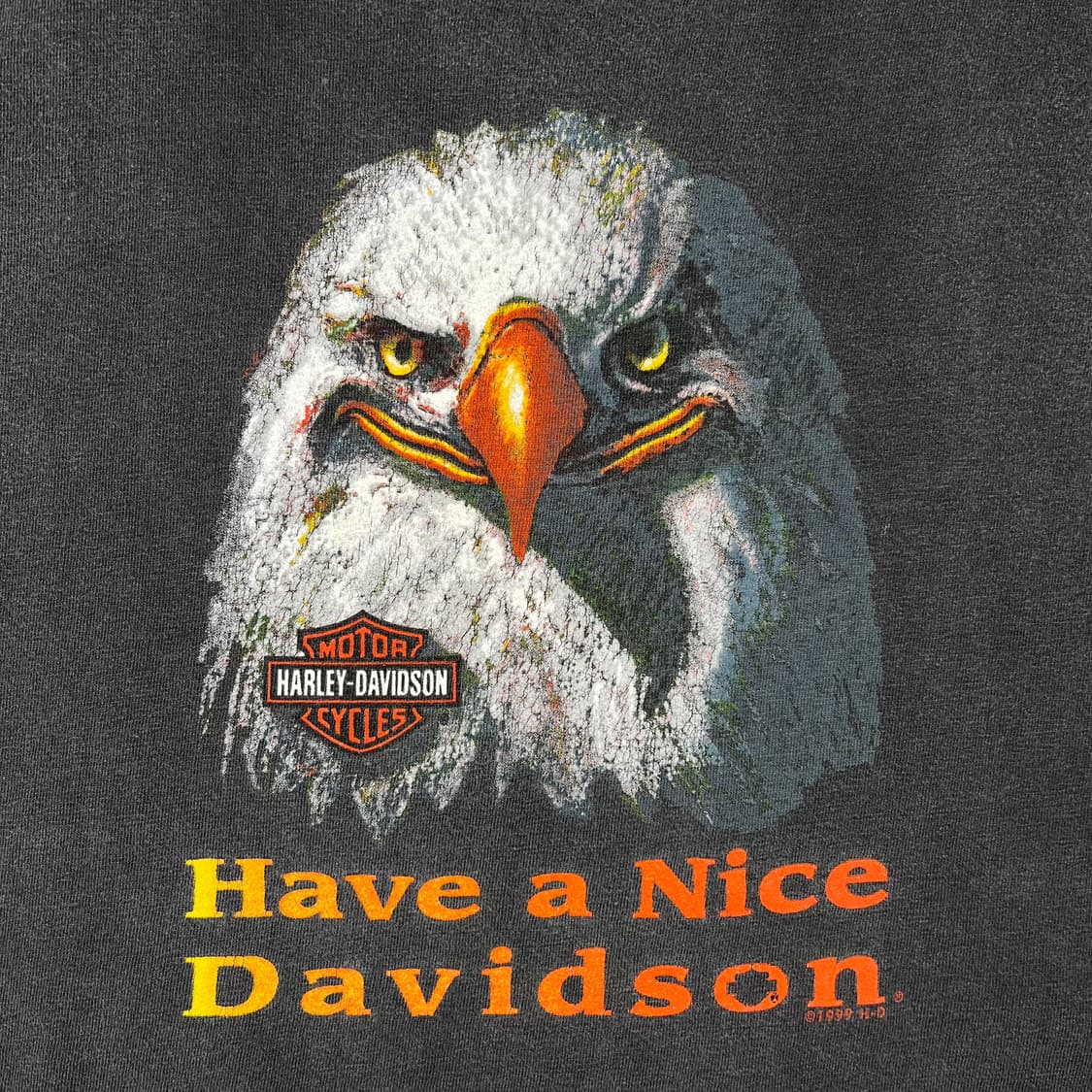할리데이비슨 Have a Nice Davidson 이글 티셔츠 상품이미지6