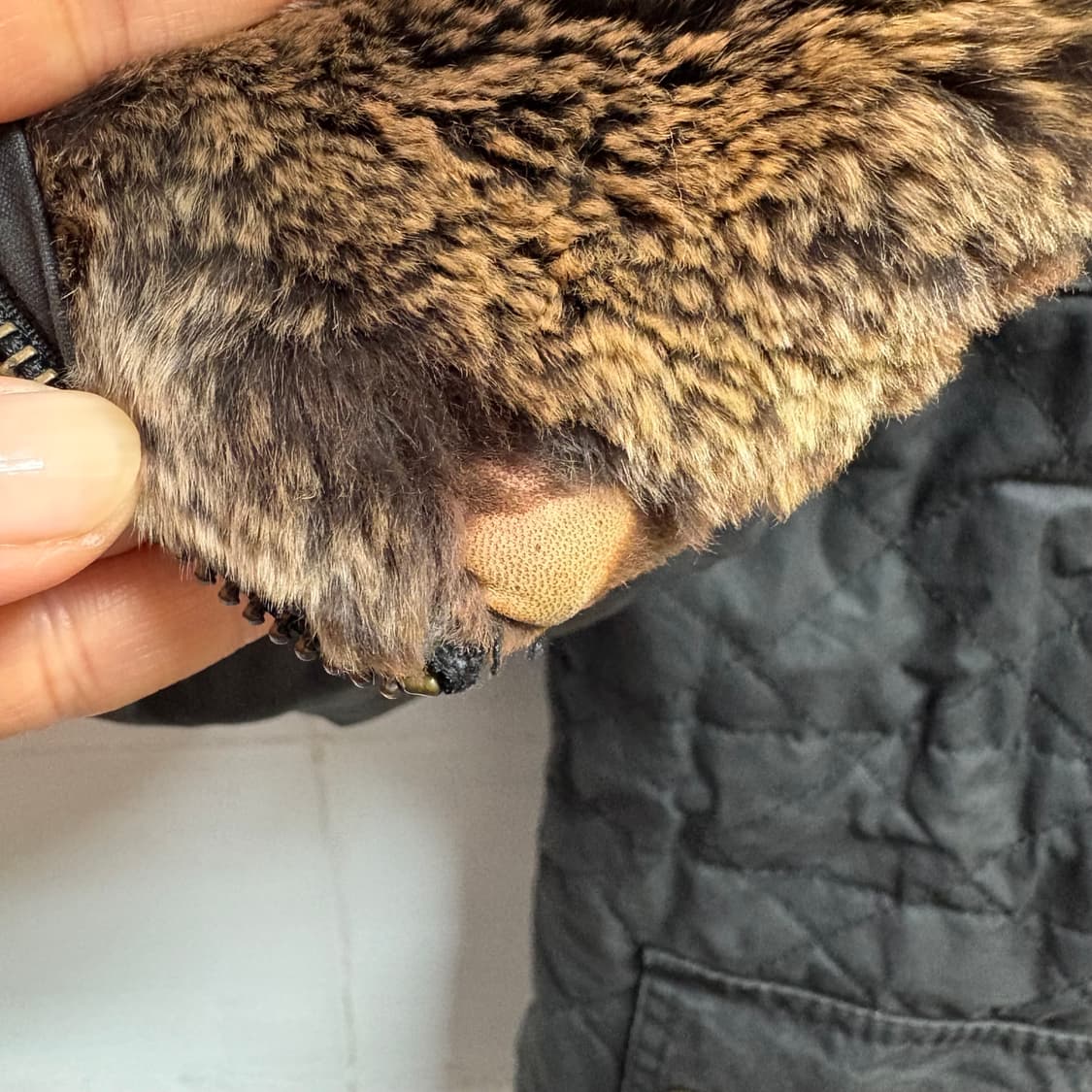 Belstaff Waxed Jacket 벨스타프 왁스자켓  상품이미지7