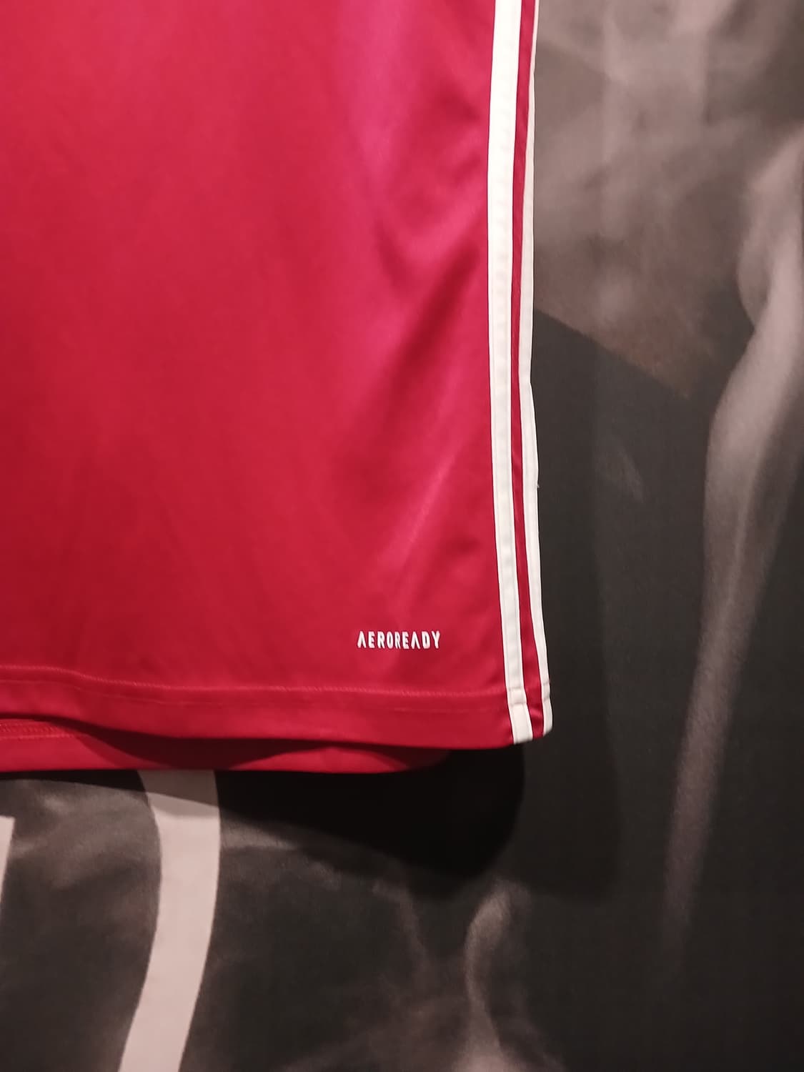 아디다스 타벨라 23 저지 반팔티 상품이미지2