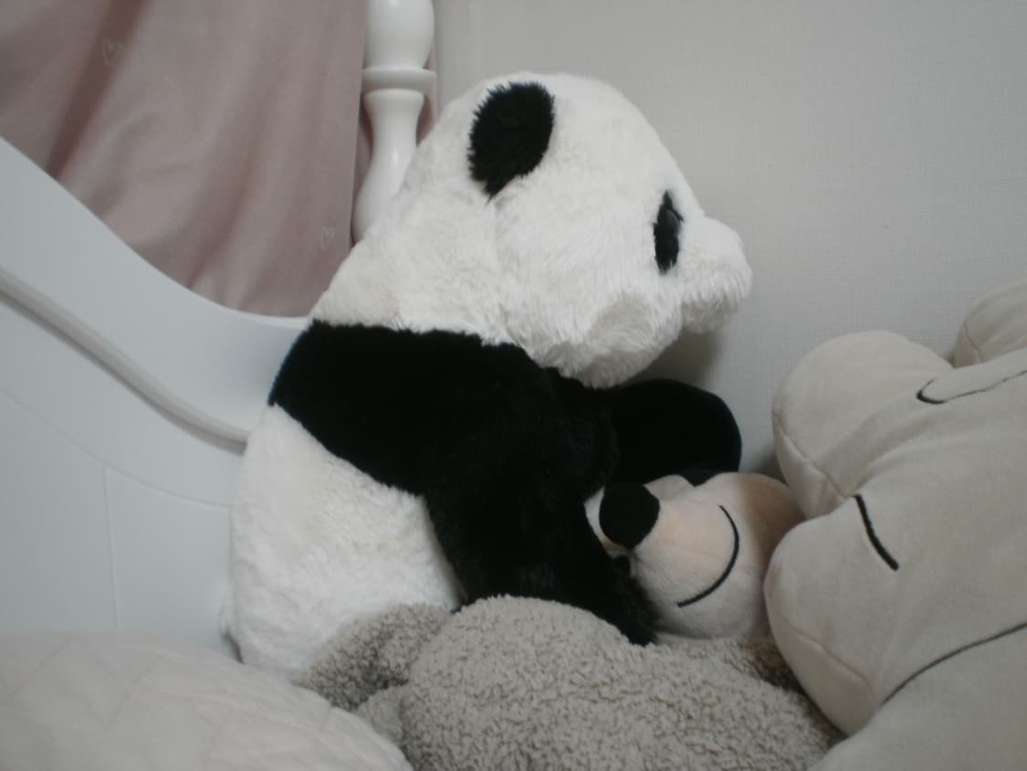 올림푸스 디지털 카메라 FE-45 상품이미지9