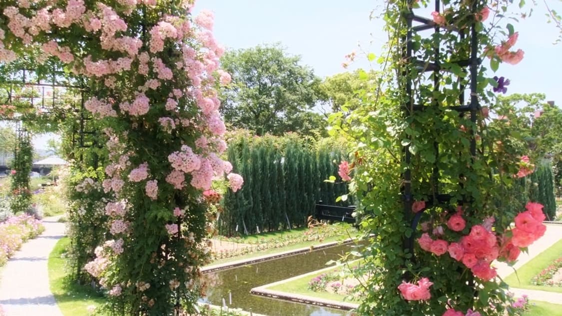 (메탈릭핑크🎀) 후지필름 파인픽스 Z700EXR 디카 디지털카메라 상품이미지7