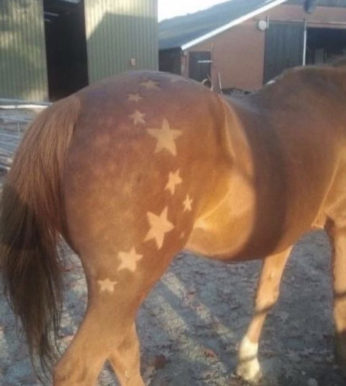 귀마개 결제창 상품이미지1