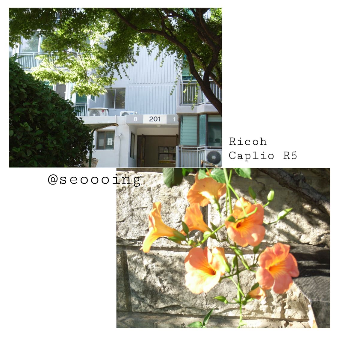 [박스셋, 작례O] Ricoh Caplio R5 리코 카플리오 빈티지디카 상품이미지10