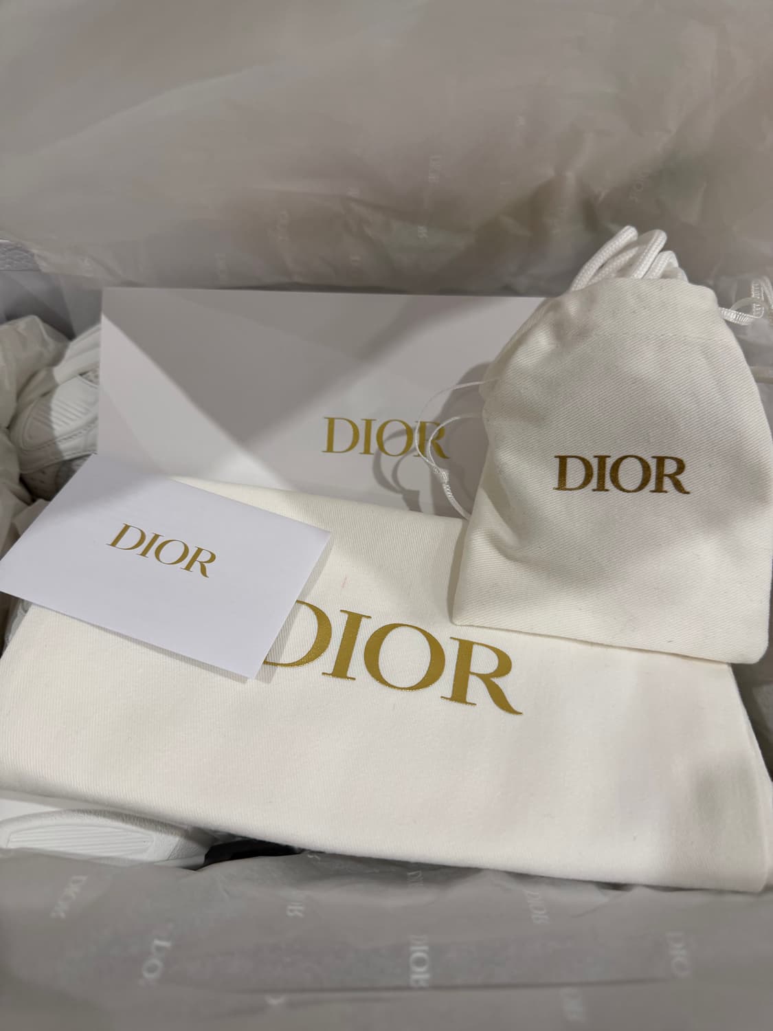 여성 디올 크로노 스니커즈 메쉬 앤 화이트 37  상품이미지4