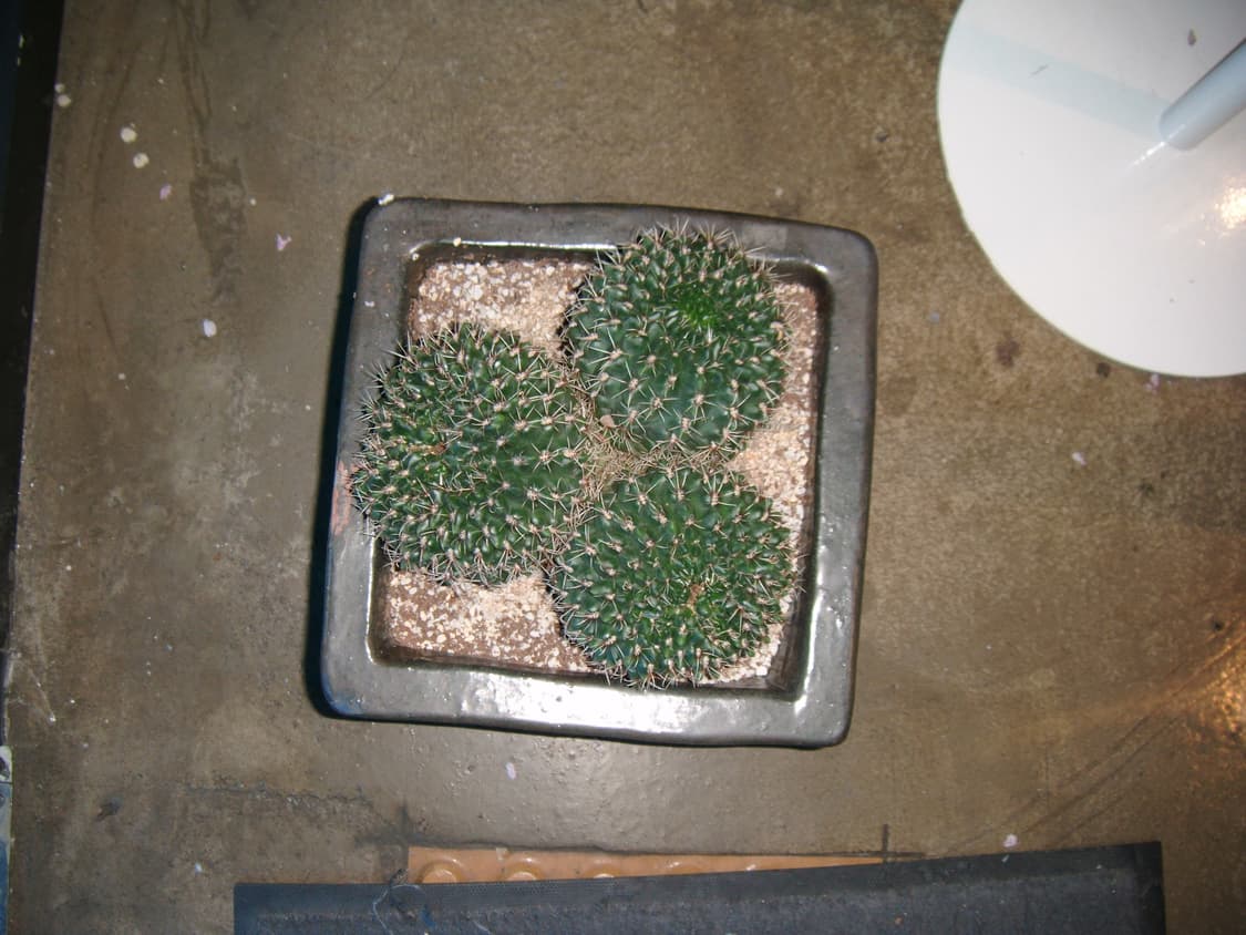 New배터리)후지필름 파인픽스 z37 빈티지디카 상품이미지10