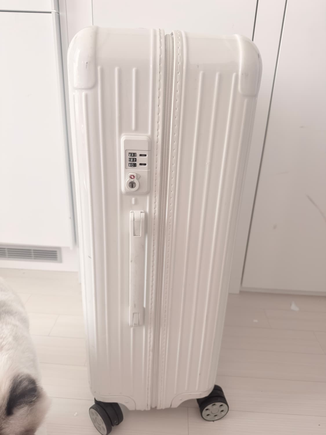 리모와 체크인 라지 화이트 상품이미지3