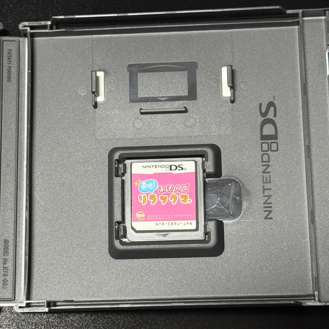 닌텐도 DS 칩 직감! 놀아줘 리락쿠마 상품이미지3
