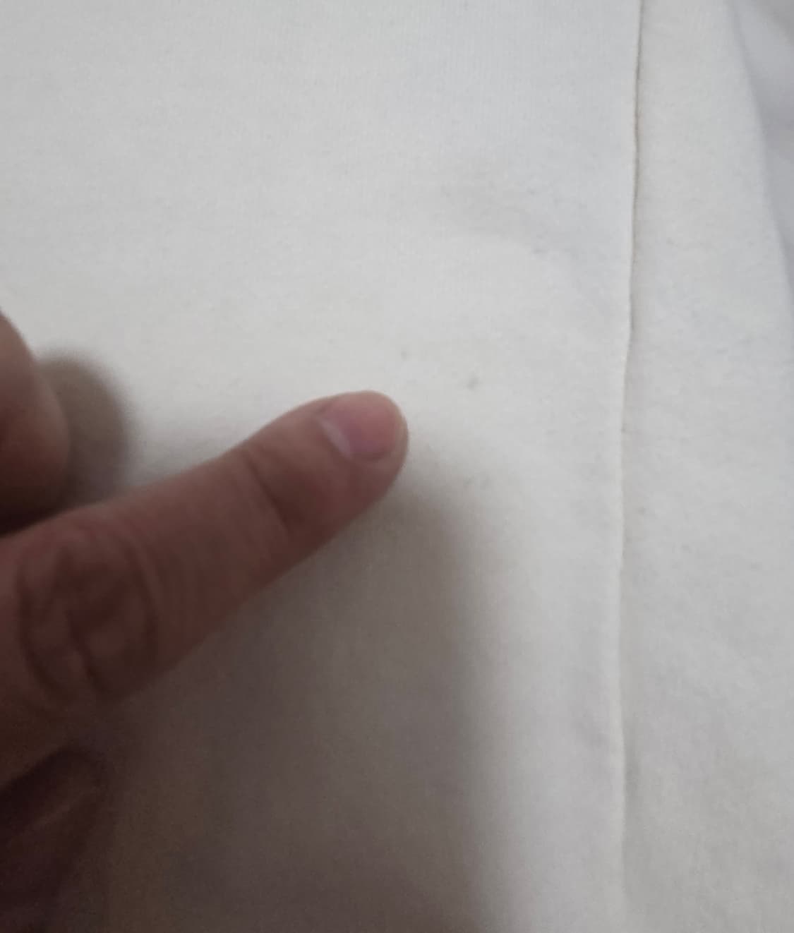 파타고니아 크루넥 맨투맨 상품이미지10