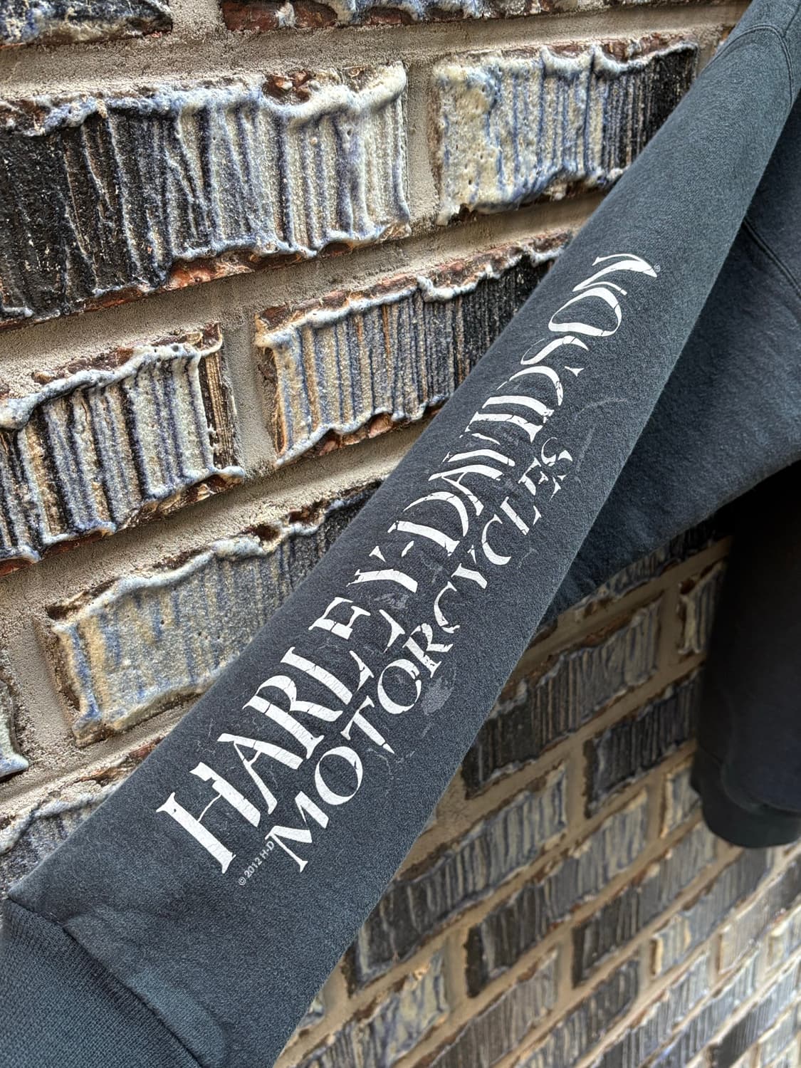 할리데이비슨 플레임 집업후디 상품이미지4