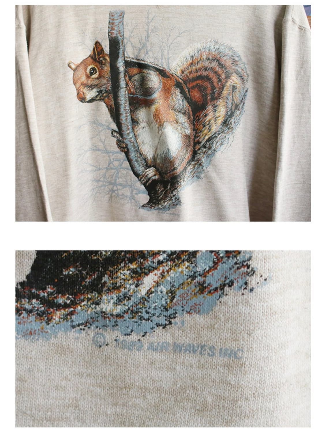 90's Russell Sweatshirt 브이거셋 다람쥐 스웻셔츠 상품이미지3