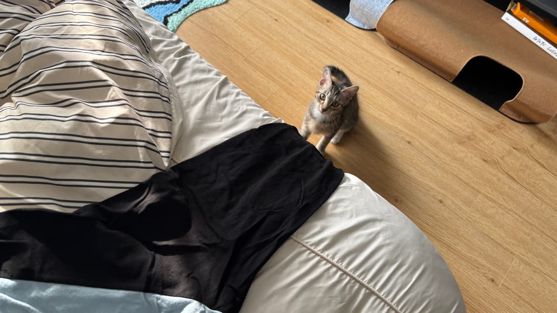 더 콜디스트 모먼트 긴팔 티셔츠 M 상품이미지4