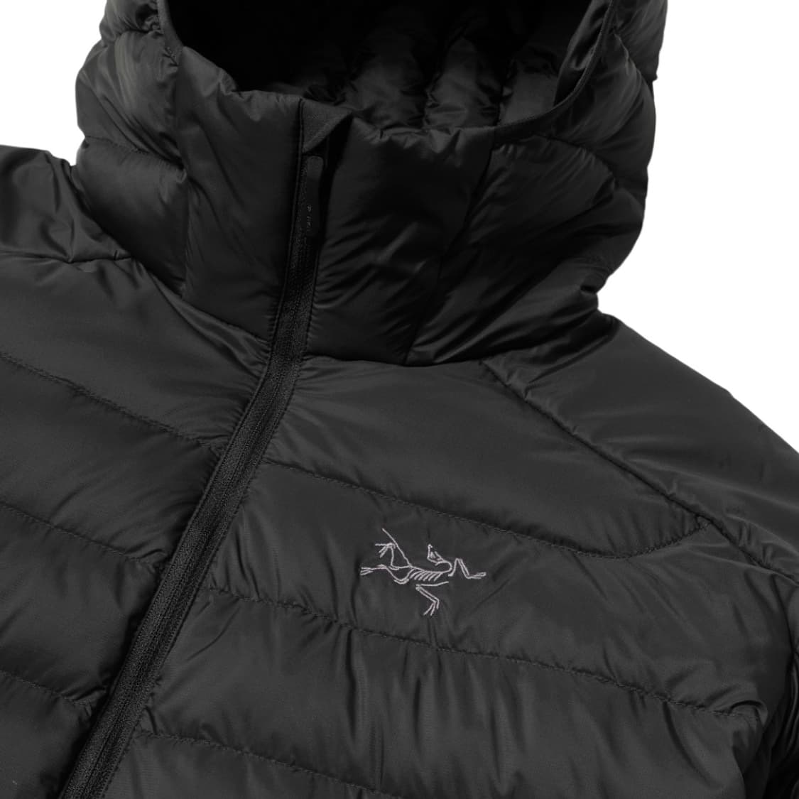 아크테릭스 세륨 후디 블랙 상품이미지3