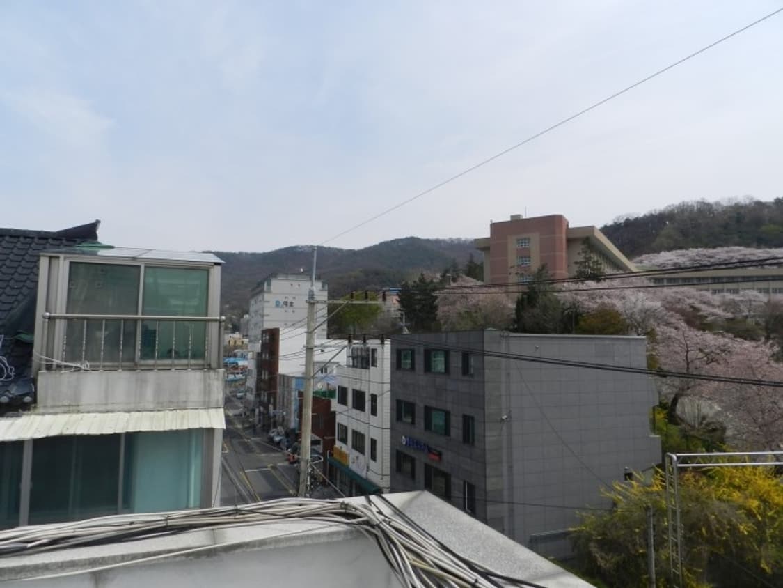 니콘 쿨픽스 p500 디카 (빈티지 카메라) 상품이미지10