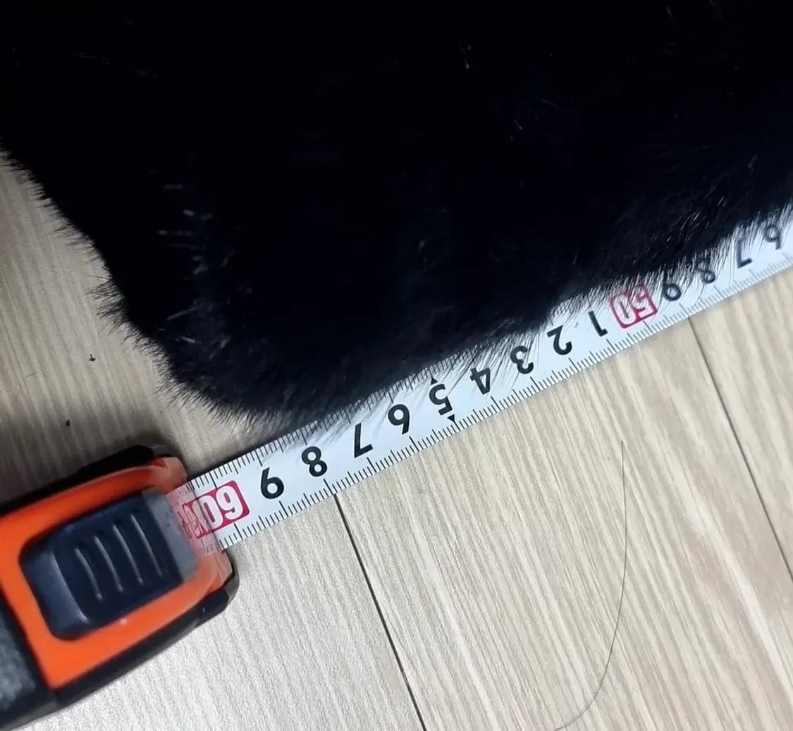 진 컬렉션 블랙 밍크 퍼 자켓(91-98-160) 상품이미지10