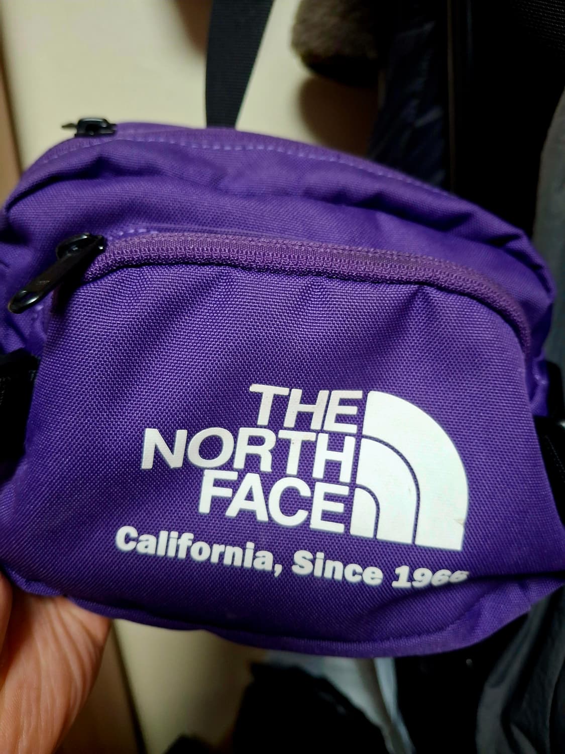 노스페이스 웨이스트백 / 힙색 상품이미지1