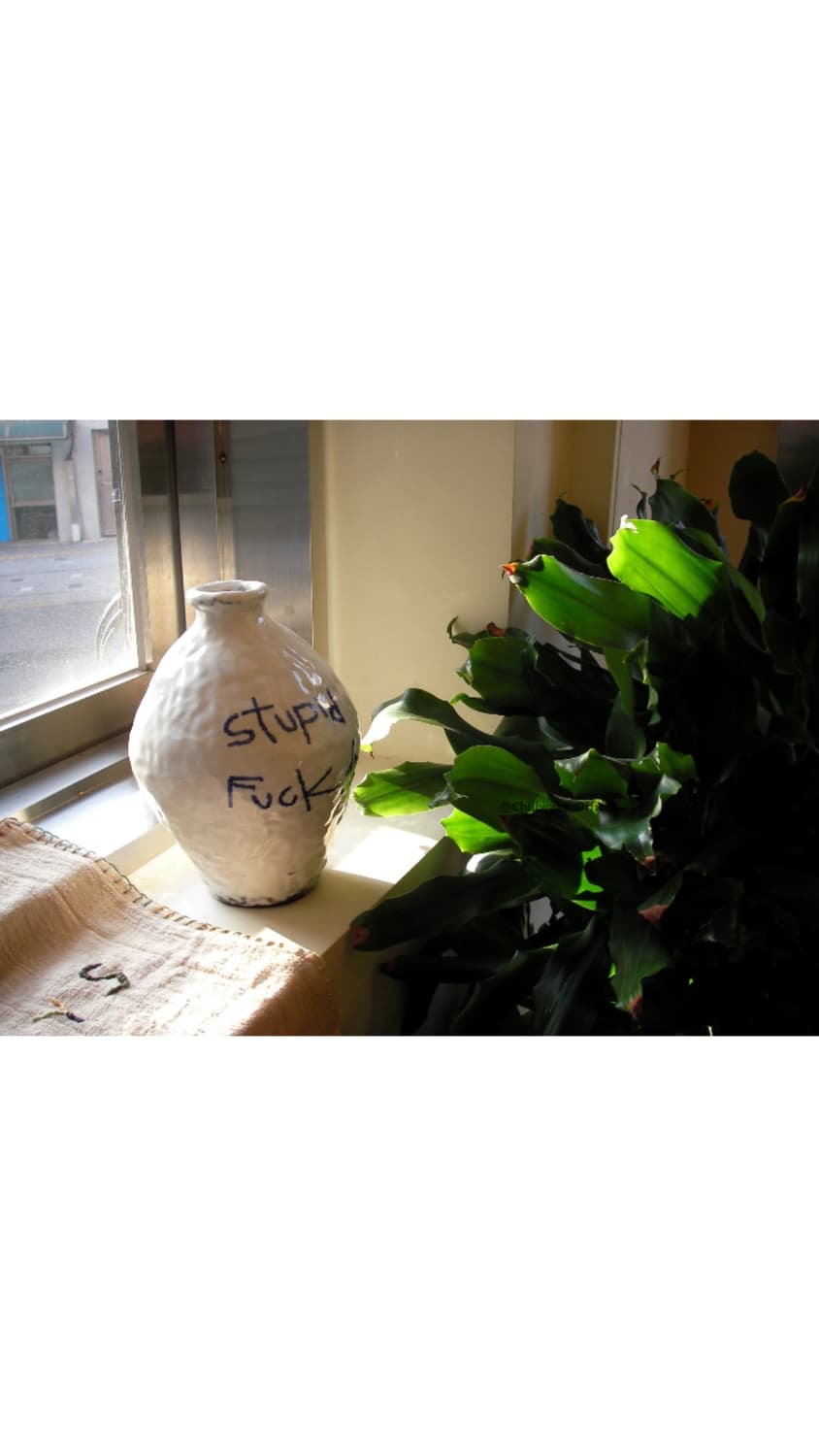 Sanyo Xacti DSC-E6 상품이미지5