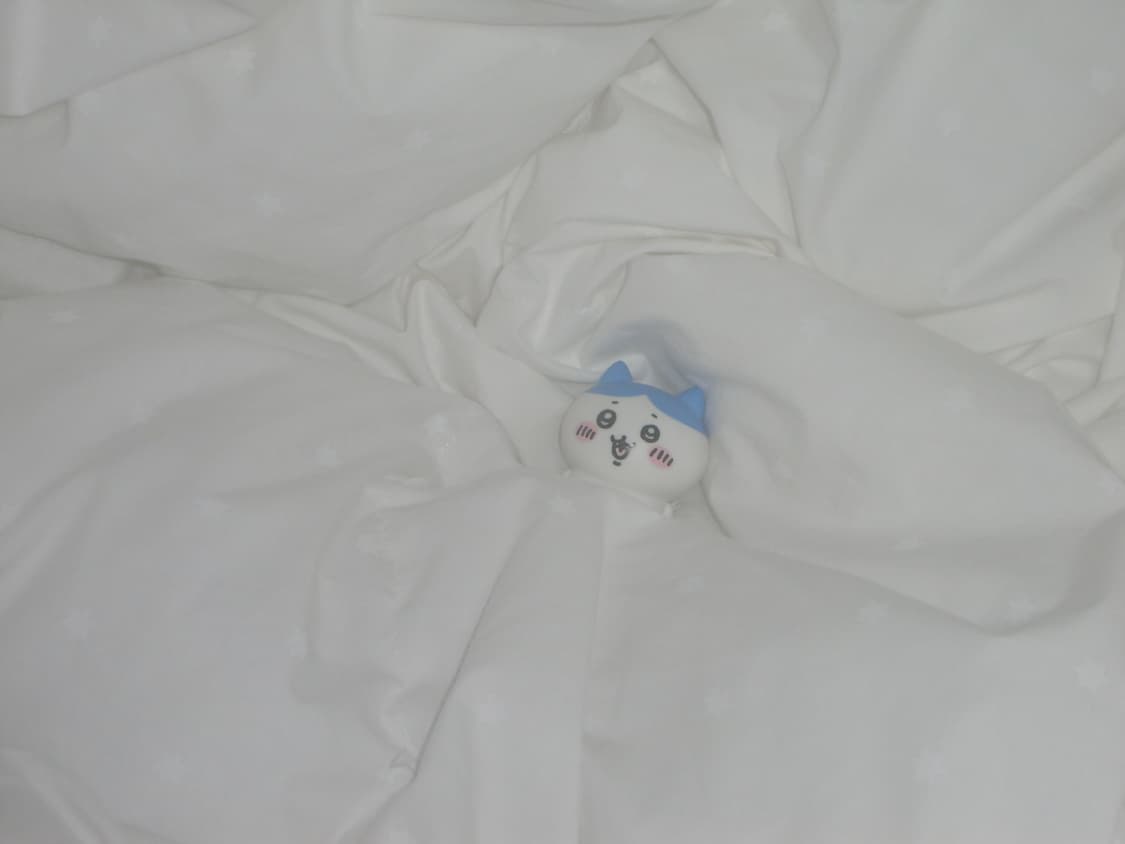 (작례O) Casio exilim ex-z400 / 태연, 방지민 디카 상품이미지5