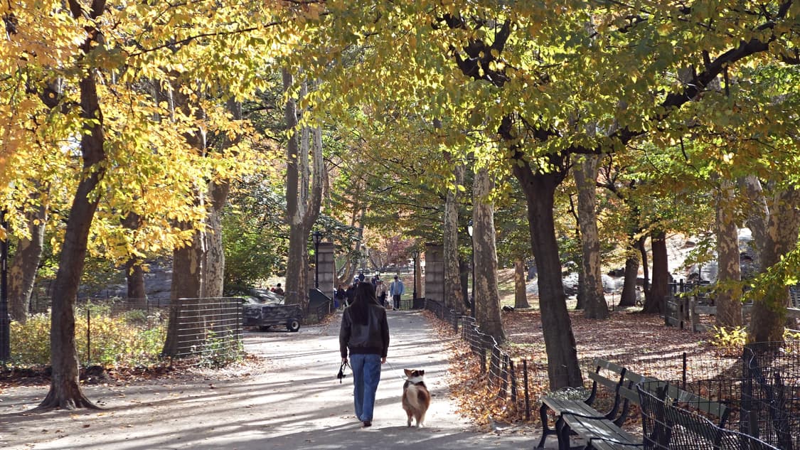 ✨한효주 디카✨ 삼성 미러팝 mv-900F (작례o) 상품이미지9