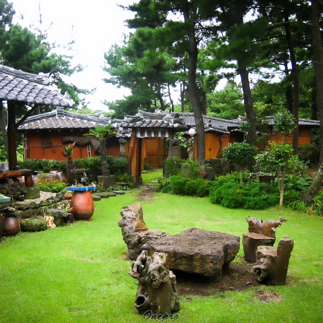 📸 [아이유 pick /한국어지원] 캐논 IXY 55 실버 판매합니다  상품이미지10