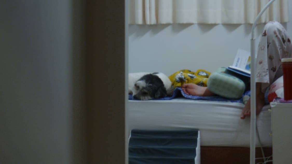 올림푸스 뮤 터프 8000(작례O) 상품이미지9