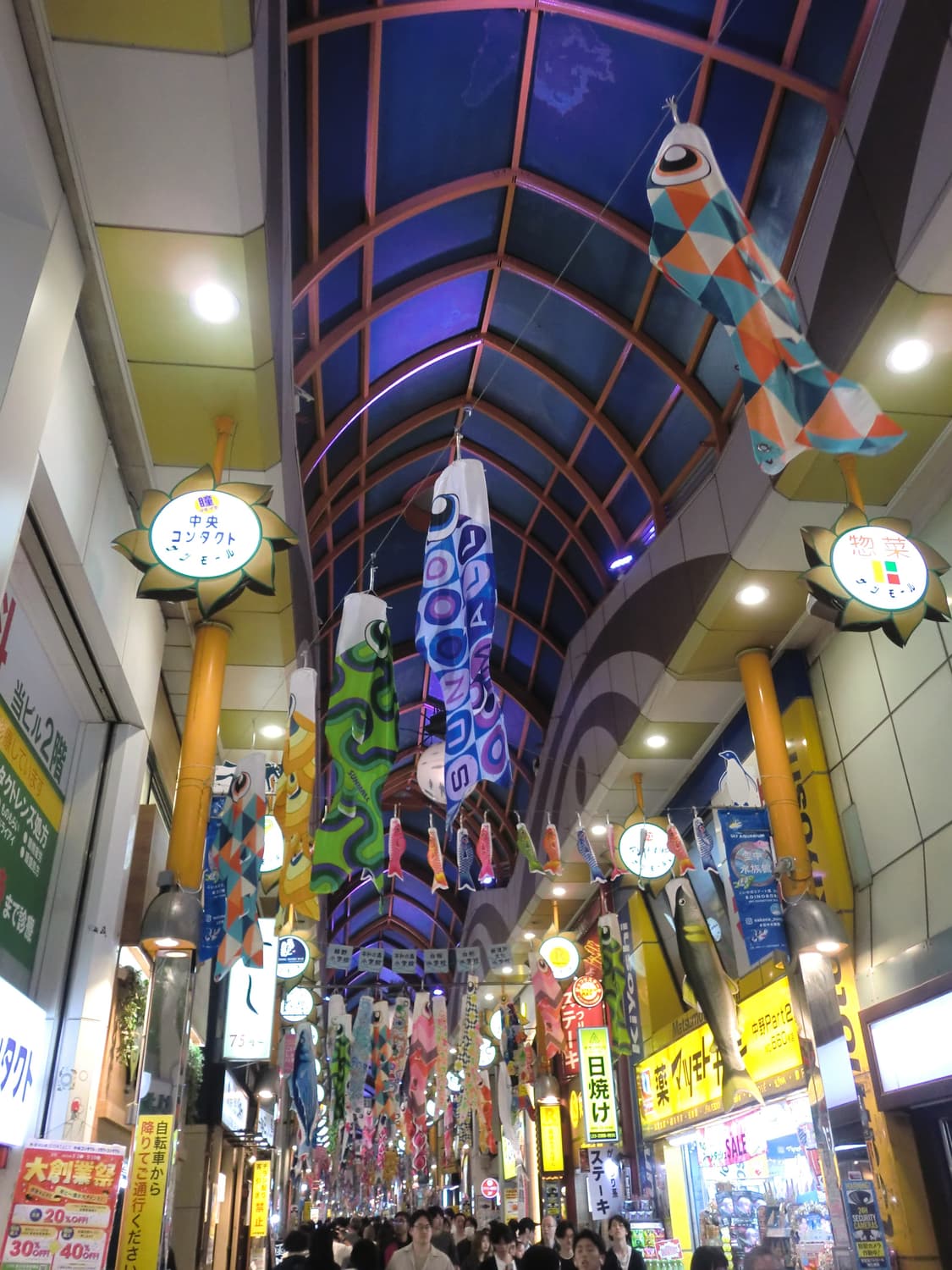 카시오 엑슬림 z2000 상품이미지6