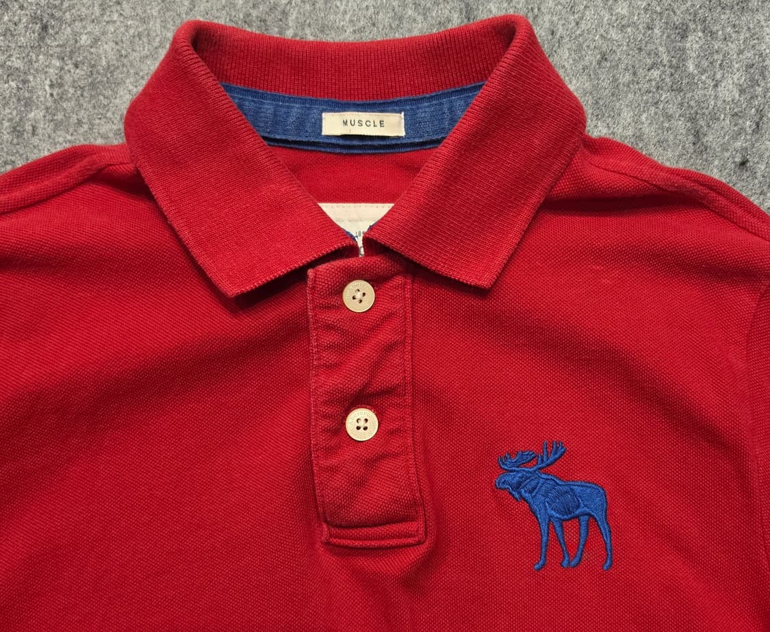 아베크롬비 앤 피치 빅로고 pk 카라 반팔티 L 상품이미지3