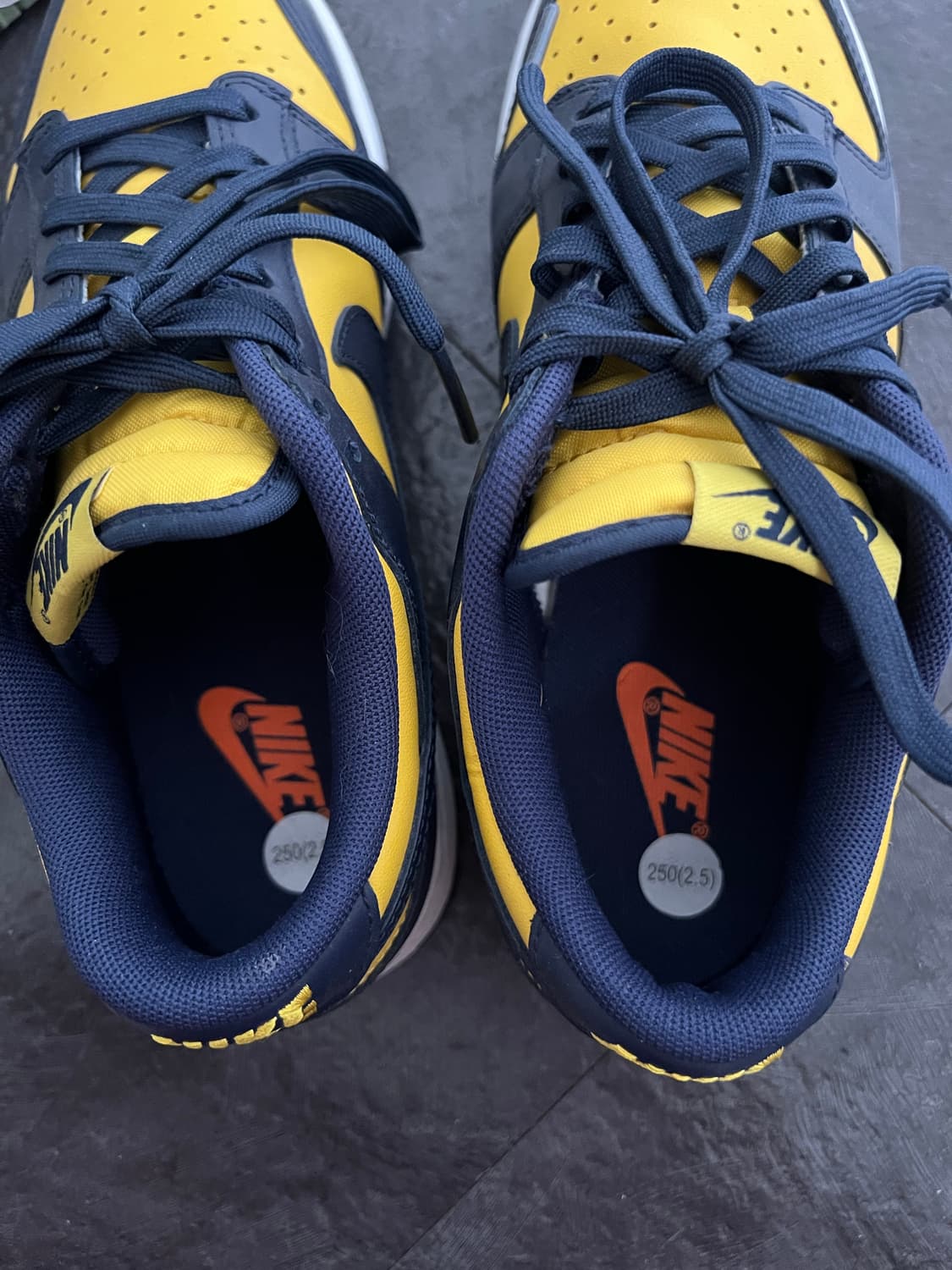 나이키 덩크 로우 바시티 메이즈 250 상품이미지3