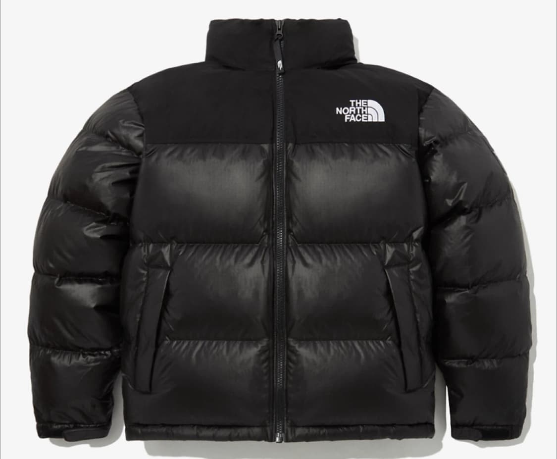 노스페이스 노벨티 눕시 다운 자켓 NJ1DP62J 상품이미지2