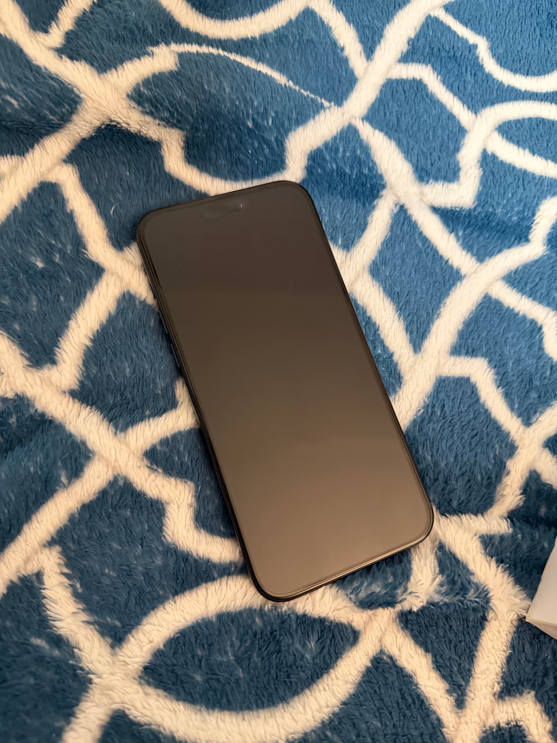 아이폰 15 Pro Max 블루 상품이미지3