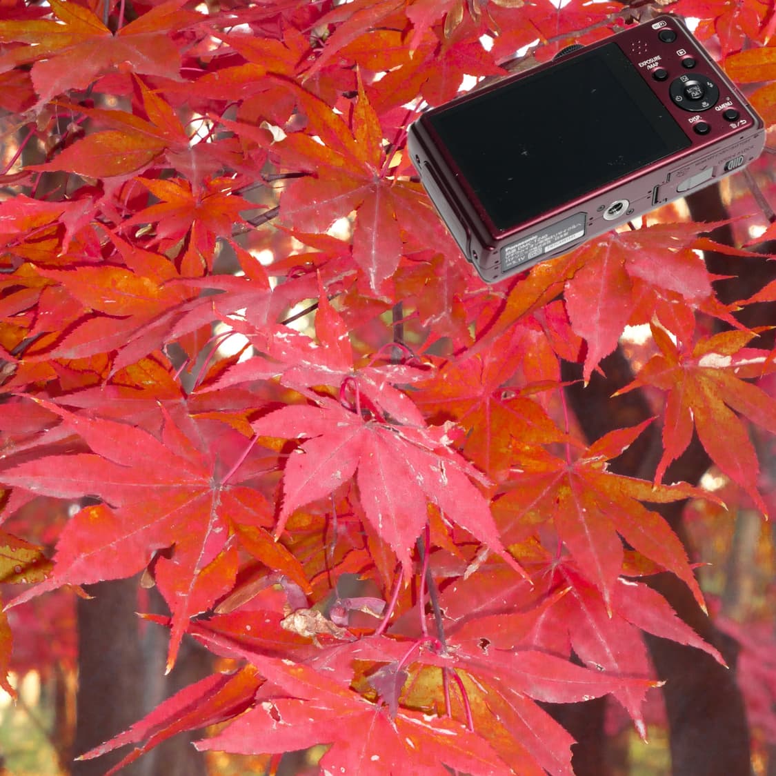 Panasonic TZ40 (✨민트급/라이카) 상품이미지5