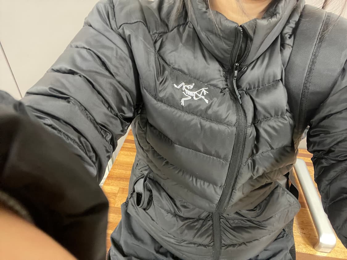 아크테릭스 경량패딩 상품이미지1