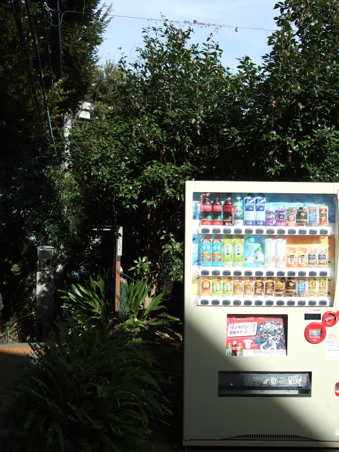 Fujifilm Finepix f50fd 상품이미지7