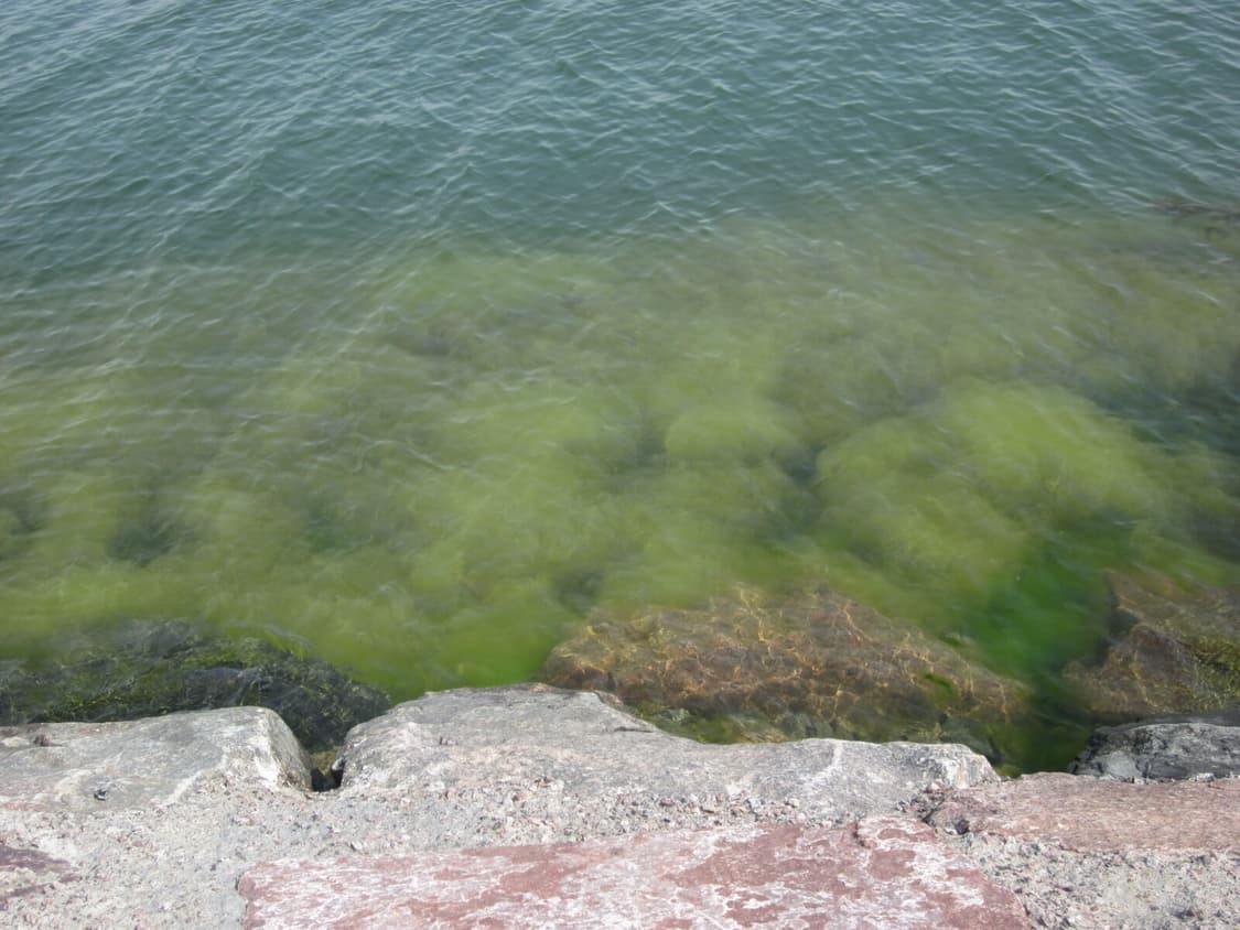 [ITYZ예지픽!] 캐논 IXY 200F (IXUS 105) 디지털카메라 상품이미지10