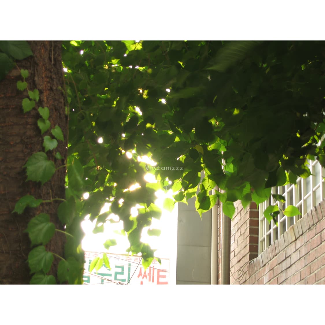 [아일릿 원희] Canon 캐논 IXUS 익서스 750 디지털 카메라 상품이미지4