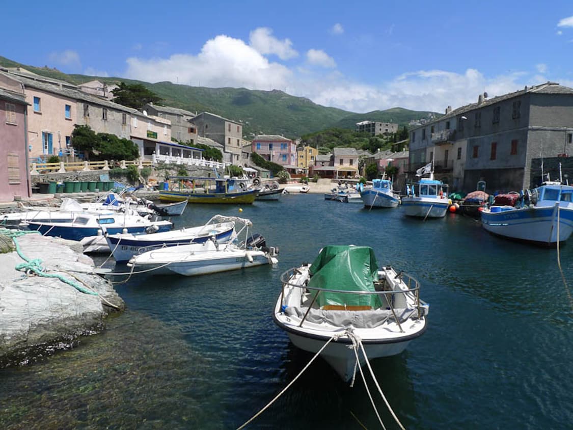 Olympus FE-230 (올림푸스 FE-230) 상품이미지10