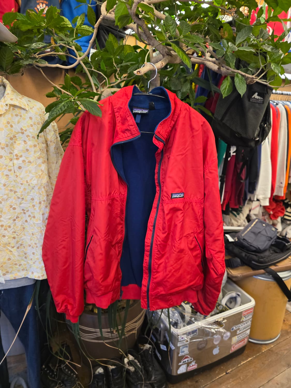 Z-505 파타고니아 신칠라 쉘드 봄버 자켓  상품이미지3