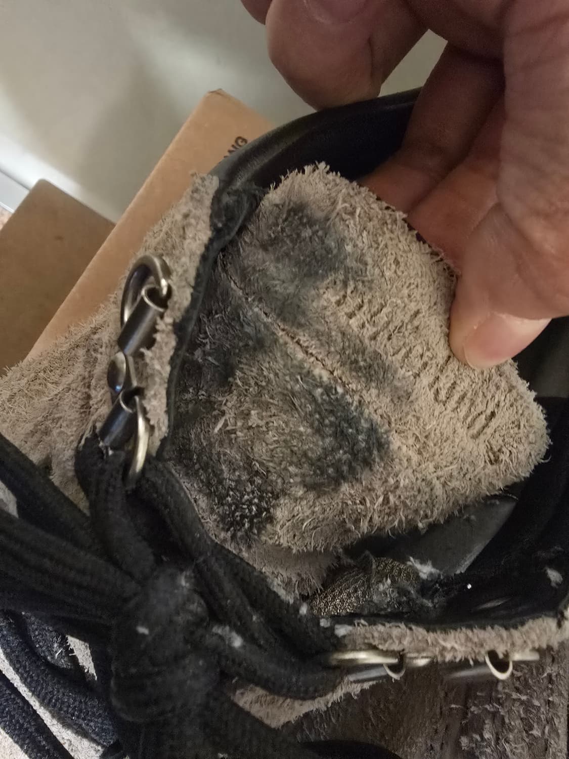 팀버랜드x디스이즈네버댓 목토 GTX 미드 265 상품이미지2