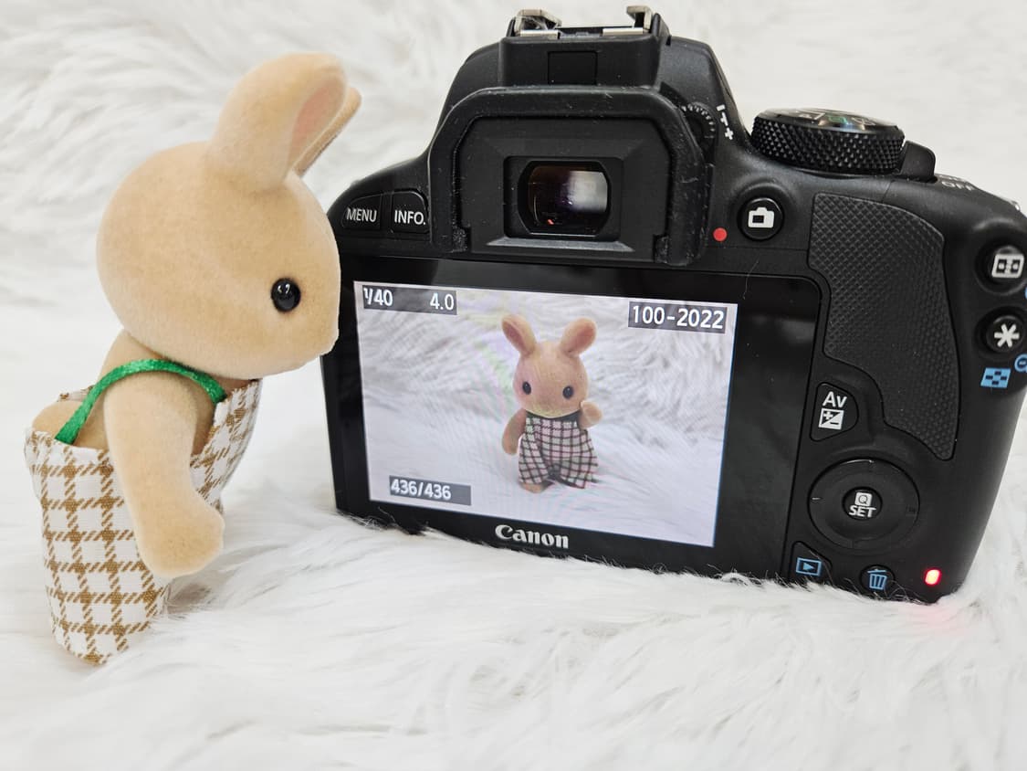 [민트] 캐논 EOS 100D DSLR 더블렌즈, 카메라, 디카 상품이미지8