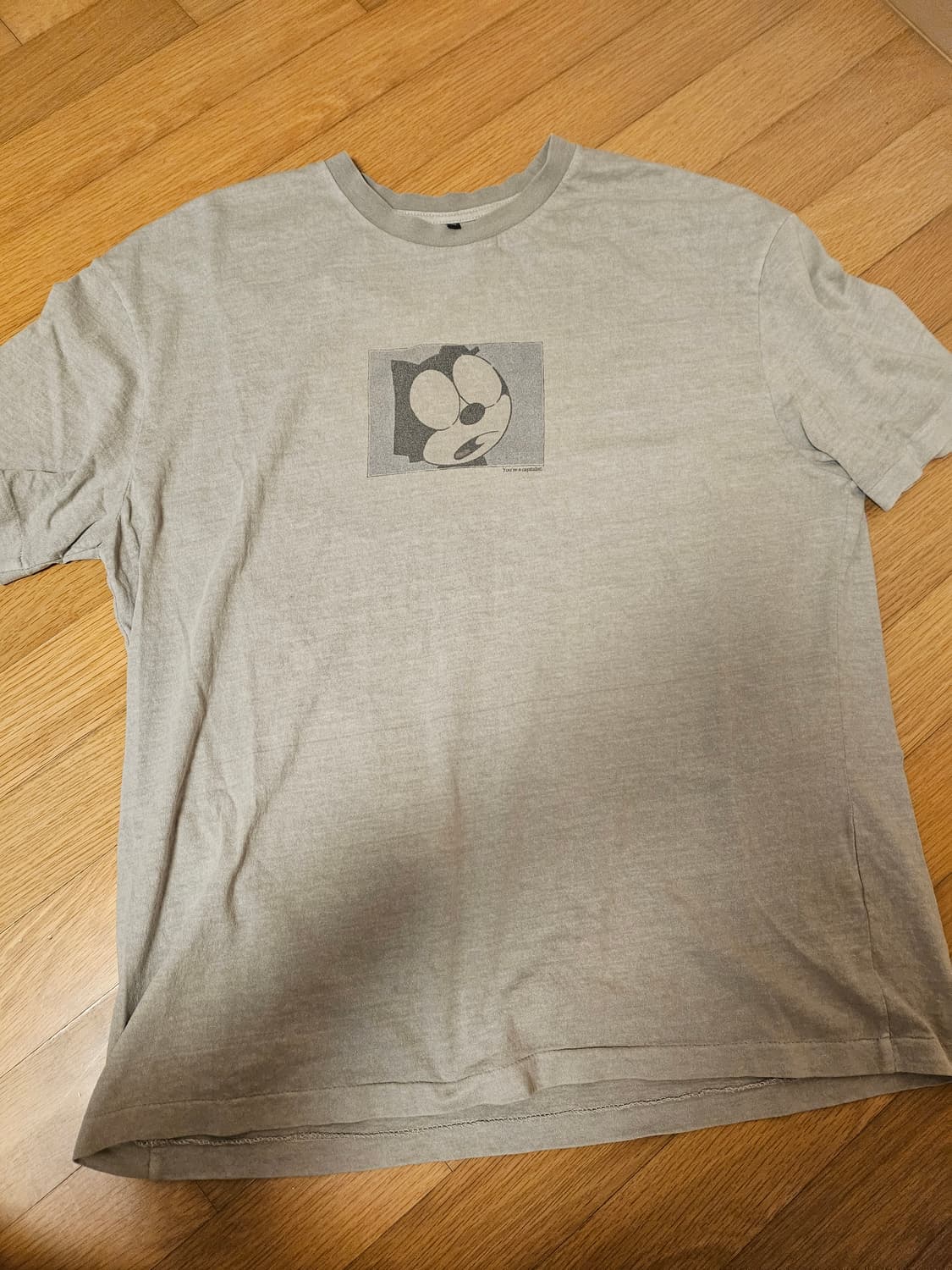 폴리테루 캐피탈티 그레이4 상품이미지1