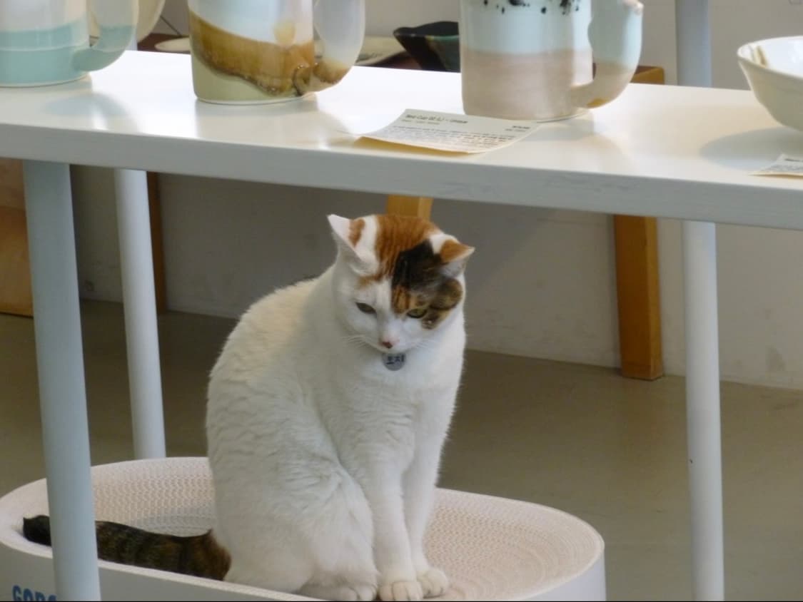 풀박스 ! 파나소닉 루믹스 DMC-FX150 빈티지디카 디카 상품이미지4