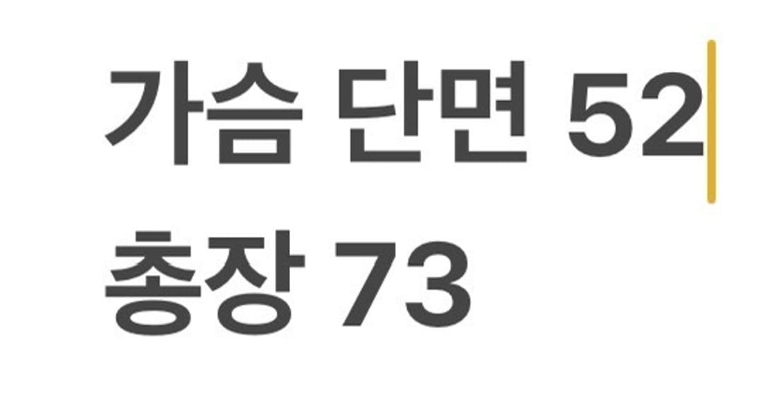 [정품/L] 나이키 2026 대한민국 축구 국가대표팀 홈 유니폼 b16 상품이미지6
